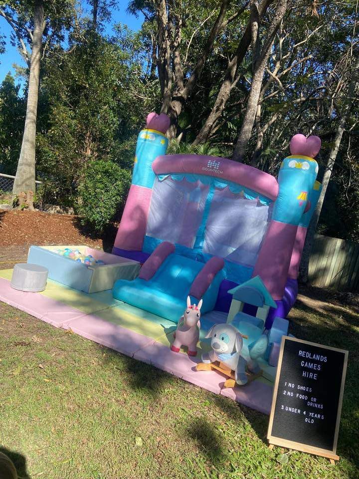 Hire Pastel softplay with jumping castle photo 3