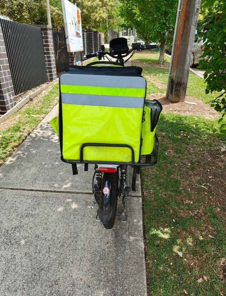Electric Bike photo 2