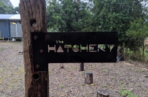 Old Ambo photo 5