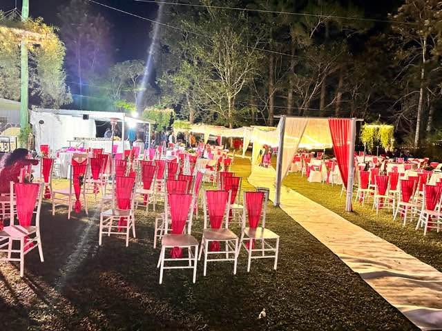 Tiffany chairs for hire photo 4