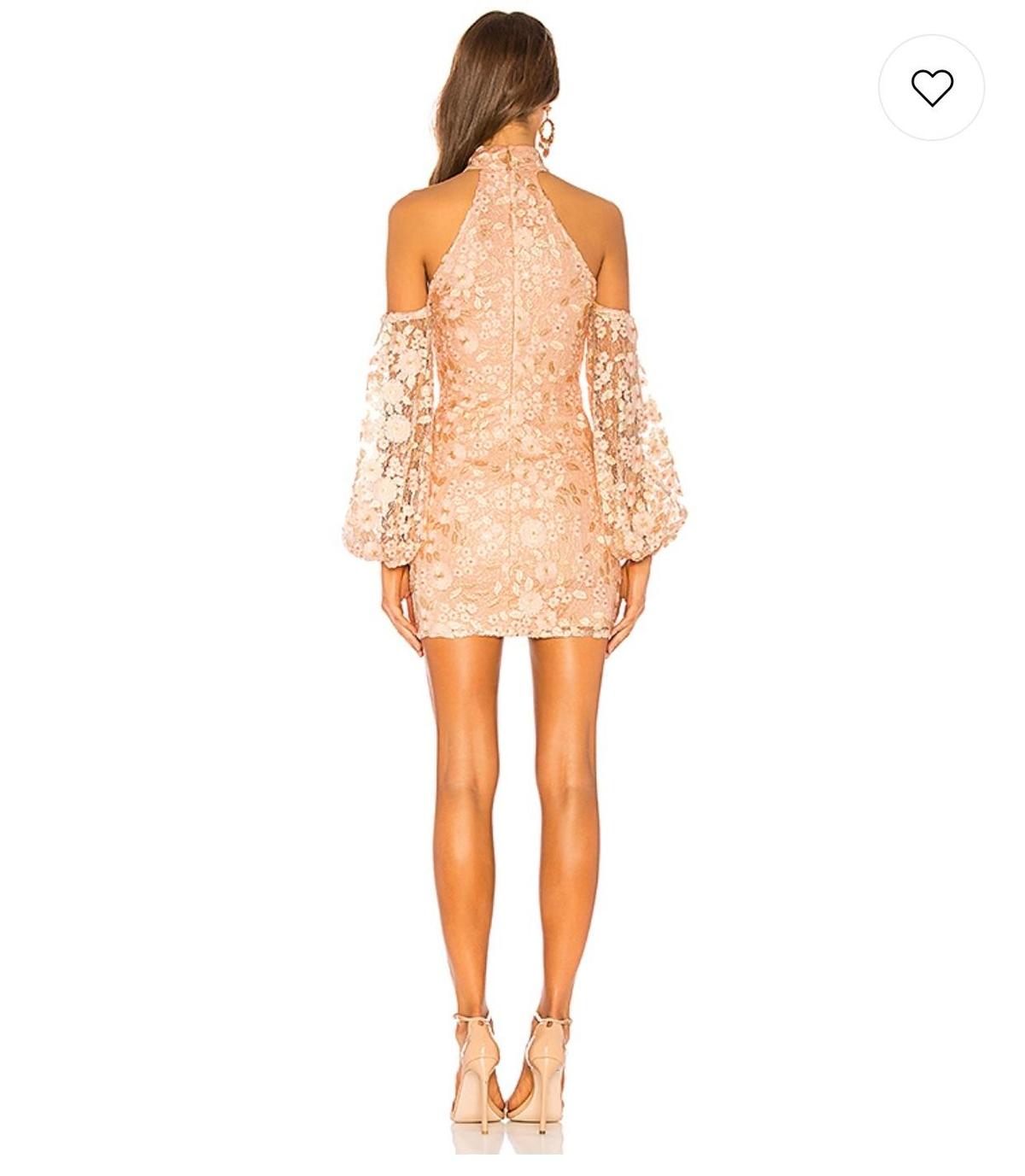 Michael Costello X Revolve Sole Mini dress in Light Pink Floral Size AU 6 photo 2