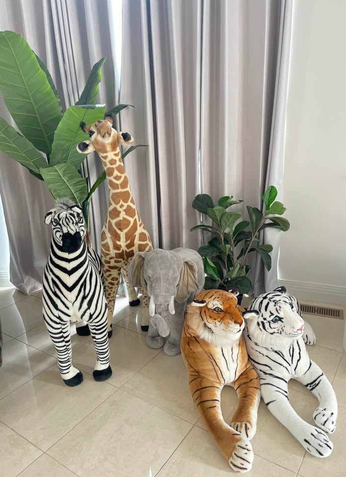 Jungle animals for hire photo 6
