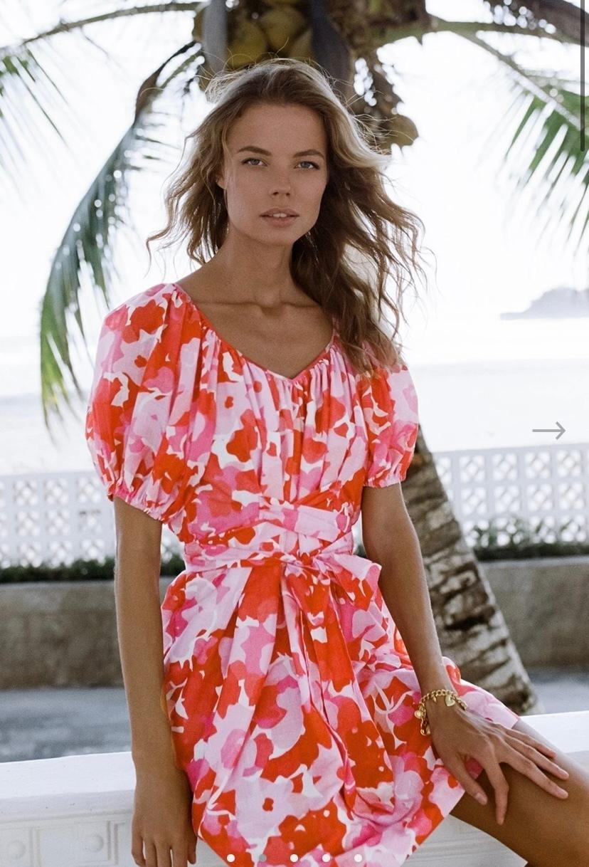 Steele Cora Dress photo 2