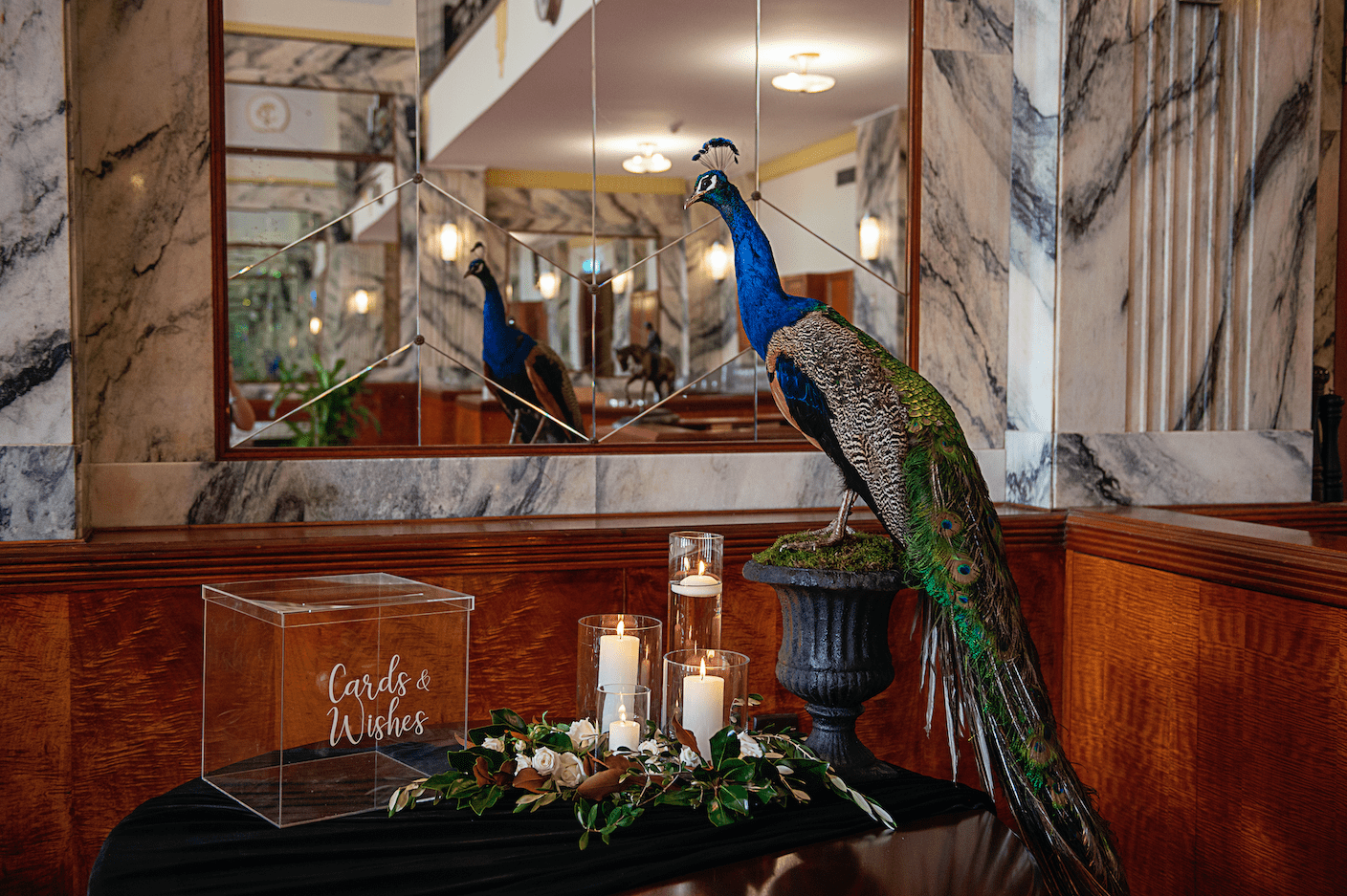 Peacock “Reg” photo 2