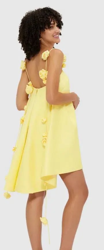 Leo Lin Fiona Rose Mini Dress Size 8 photo 3