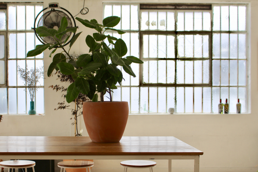 Light filled warehouse studio in Richmond photo 14