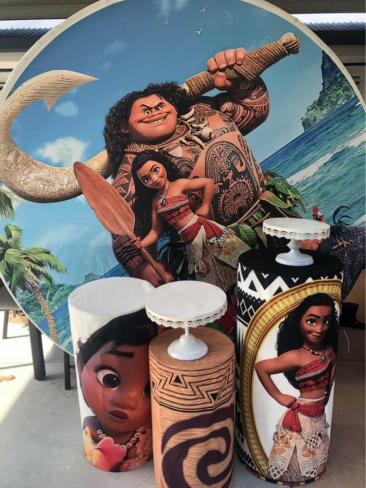 Moana theme for hire at $150 photo 5