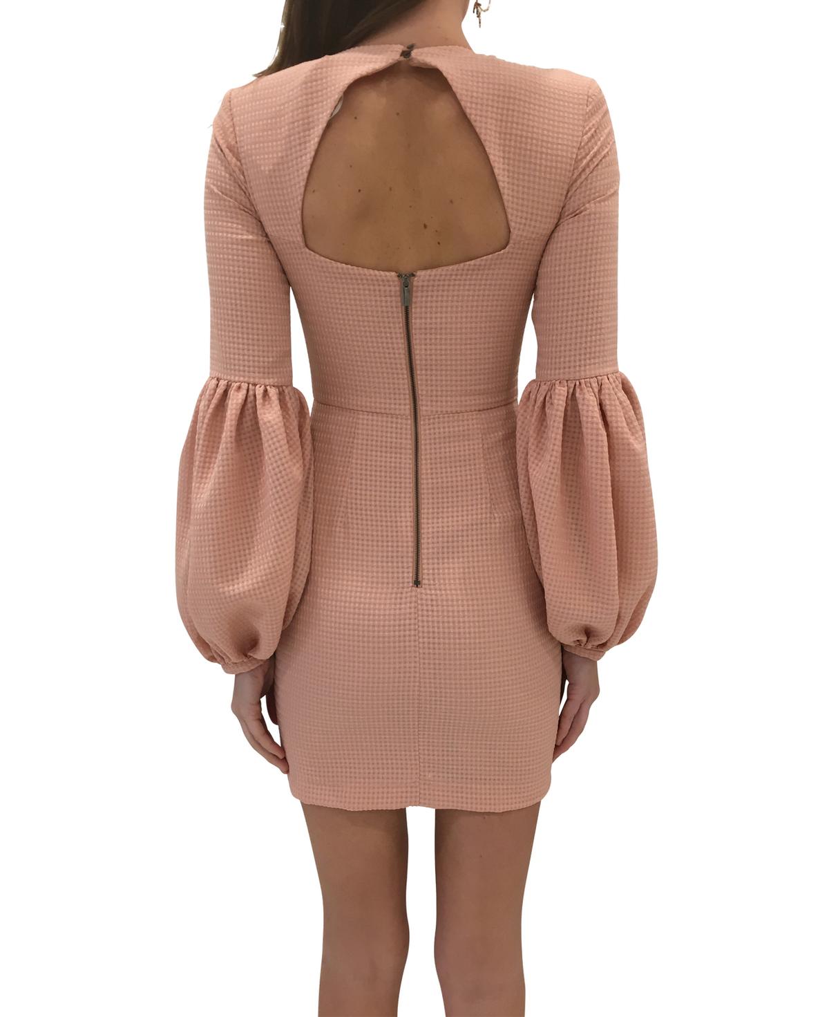Rebecca Vallance Ambrosia Gather Sleeve Mini Pink Dress size 6 photo 4