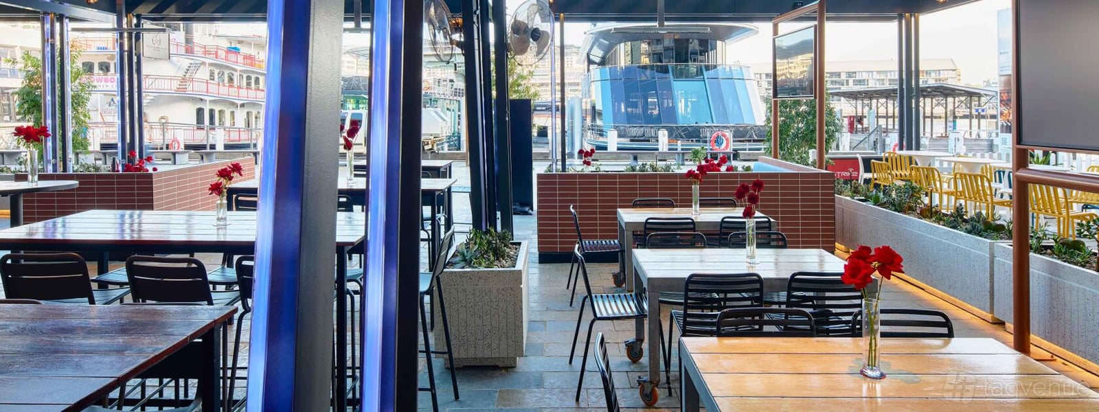 Right Wing at The Sporting Globe King Street Wharf photo 3