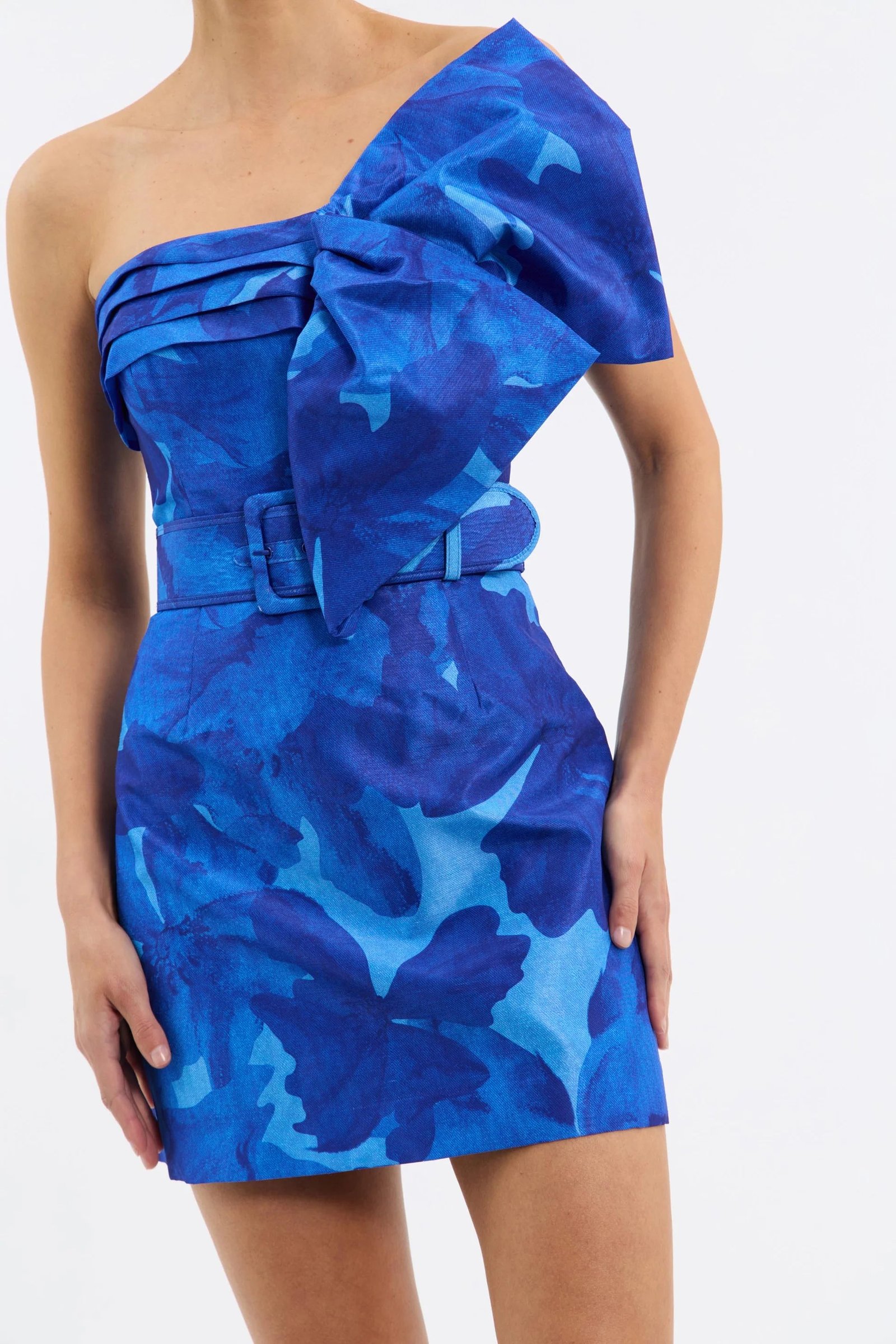 REBECCA VALLANCE AZULA MINI DRESS - PRINT photo 2