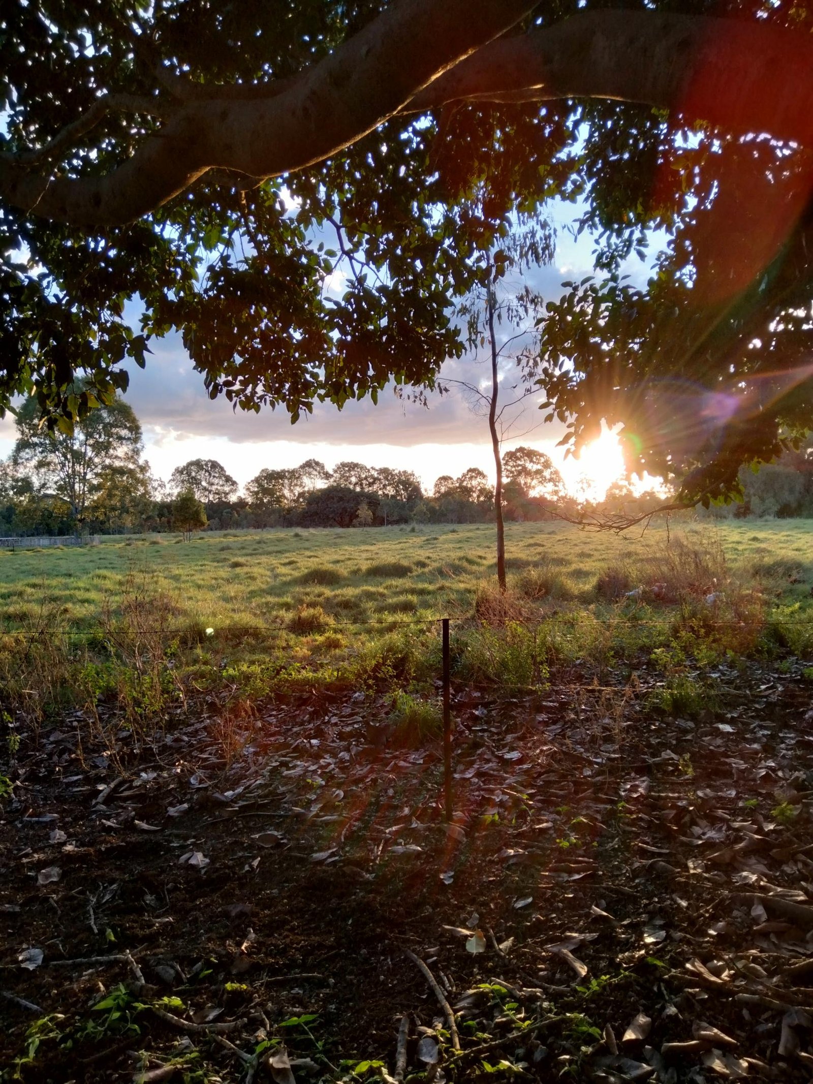 Riverside Spot at Lotus Events/ Goldhayven Farm photo 27