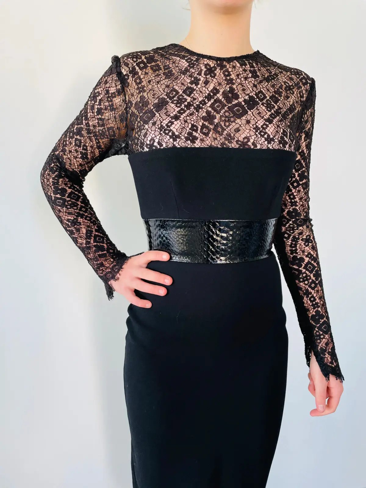 Alex Perry Mabelle Lace Long Sleeve Plastic & Satin Crepe Pencil Dress Black Size 6 photo 2