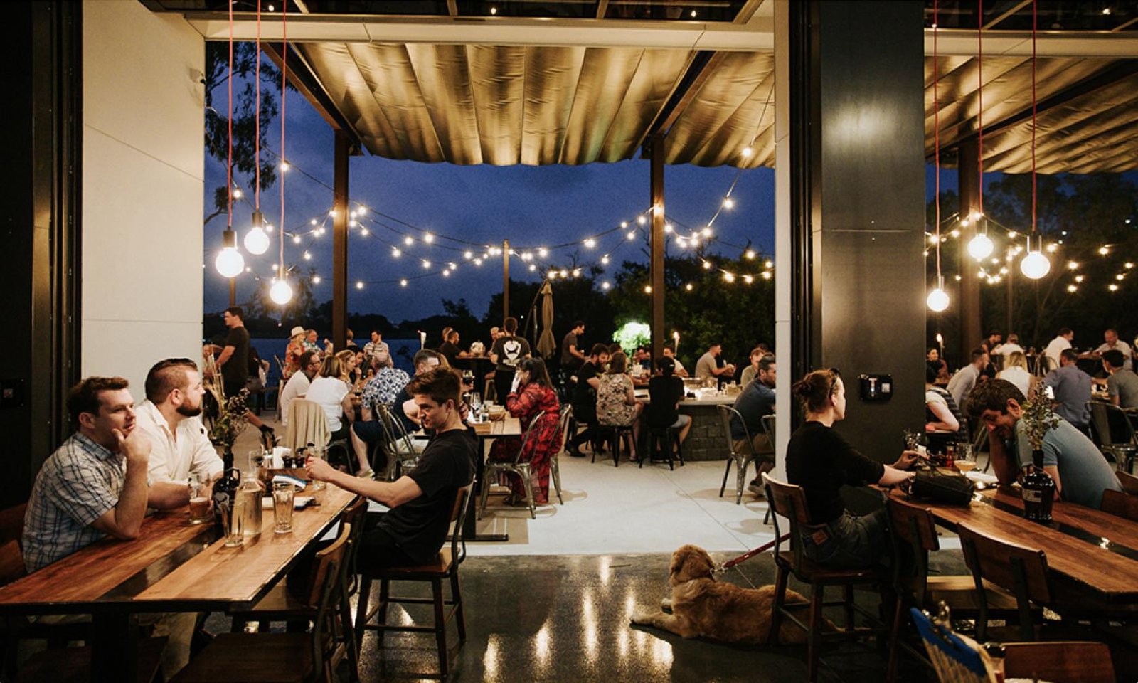 The Patio at Brewdog DogTap photo 4