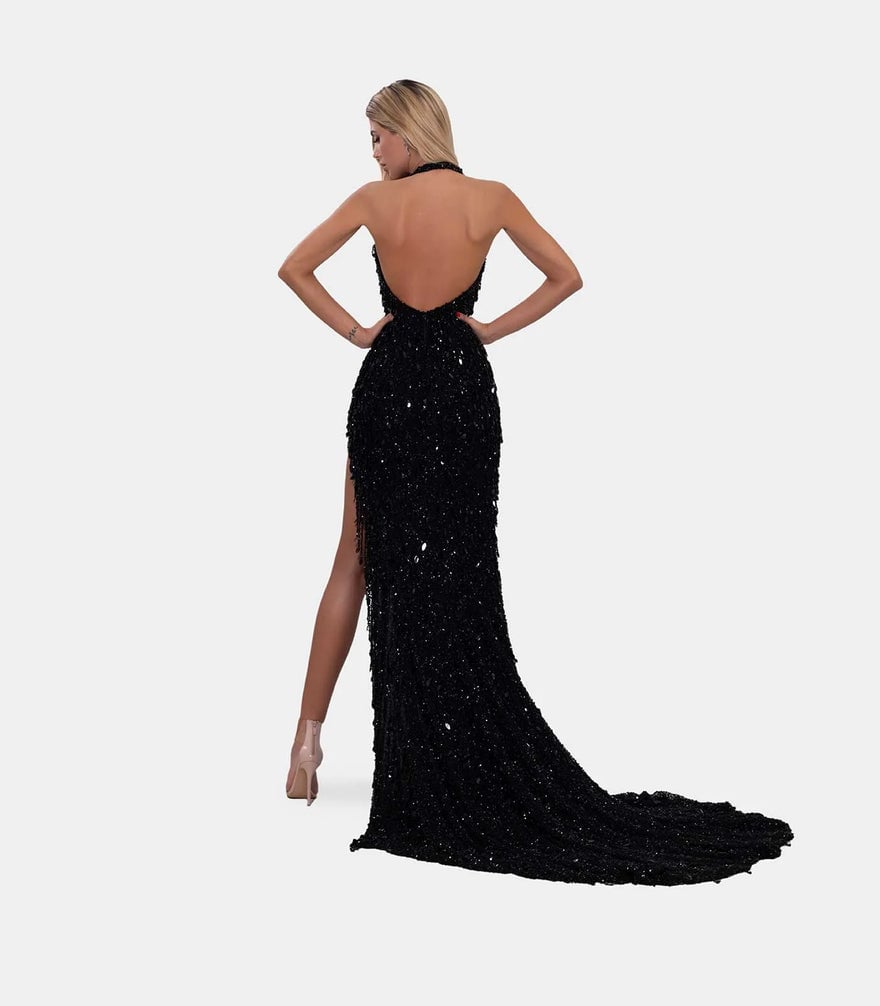 Albina Dyla Glamorous Gown photo 3