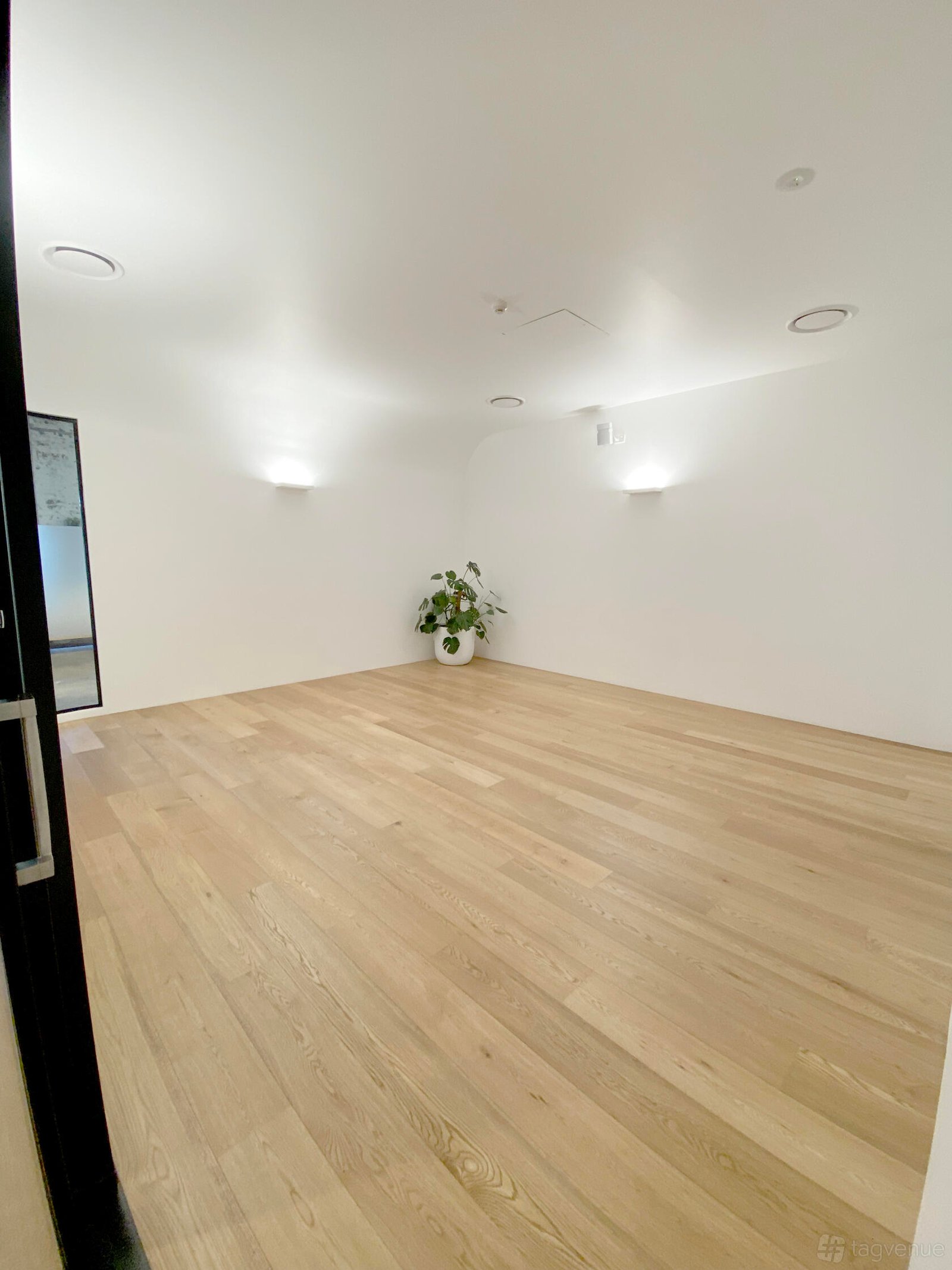 Studio at Selph Health Studios photo 10