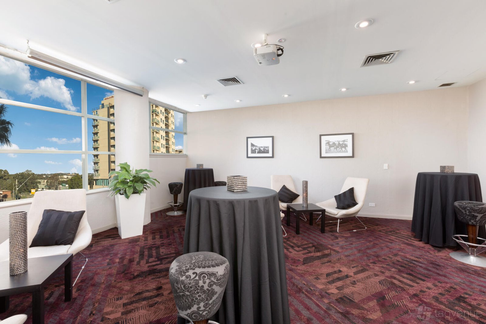 Makybe Diva at Rydges Parramatta photo 6