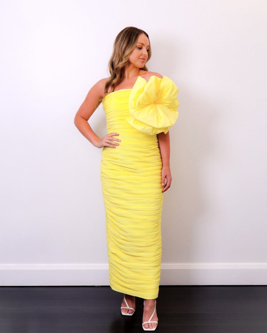 Rachel Gilbert Evana Dress photo 4