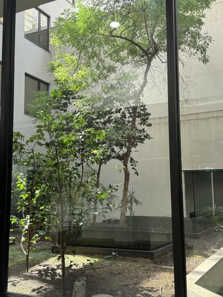 Office 3 - Collins Street Studios photo 3