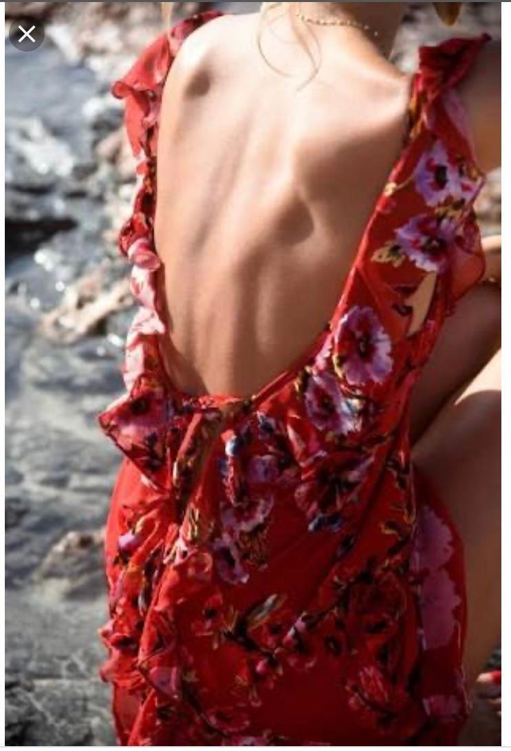 Rat and Boa Romy Dress Floral Size 6 photo 3