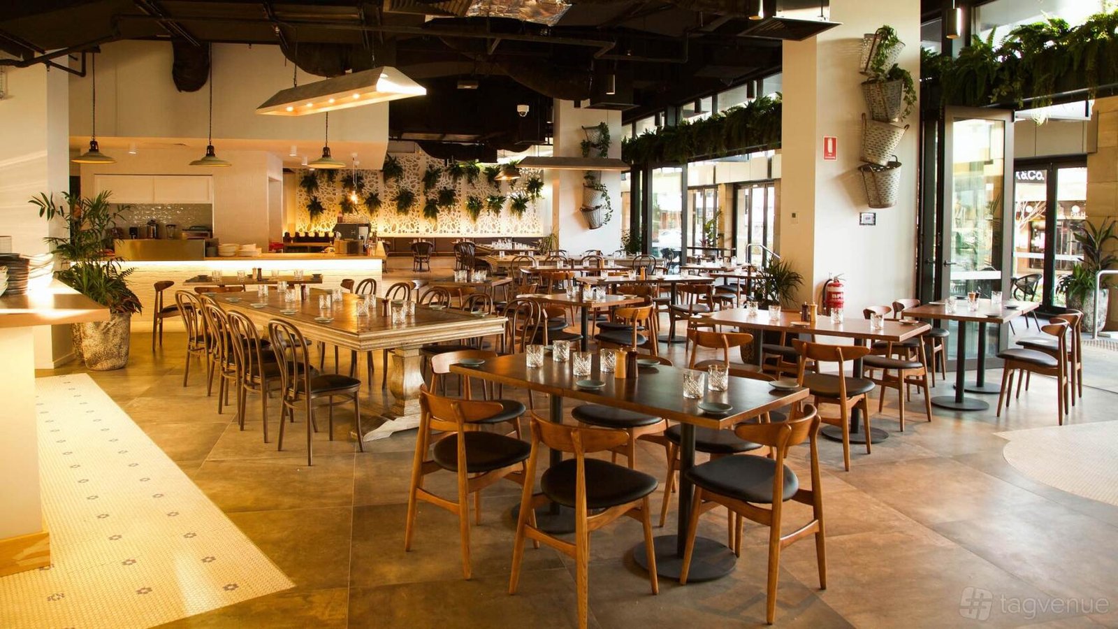 Entire Venue at ALEX&CO. photo 5