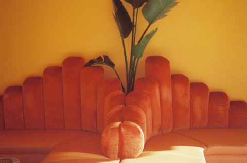 Apax Creative Studios photo 8