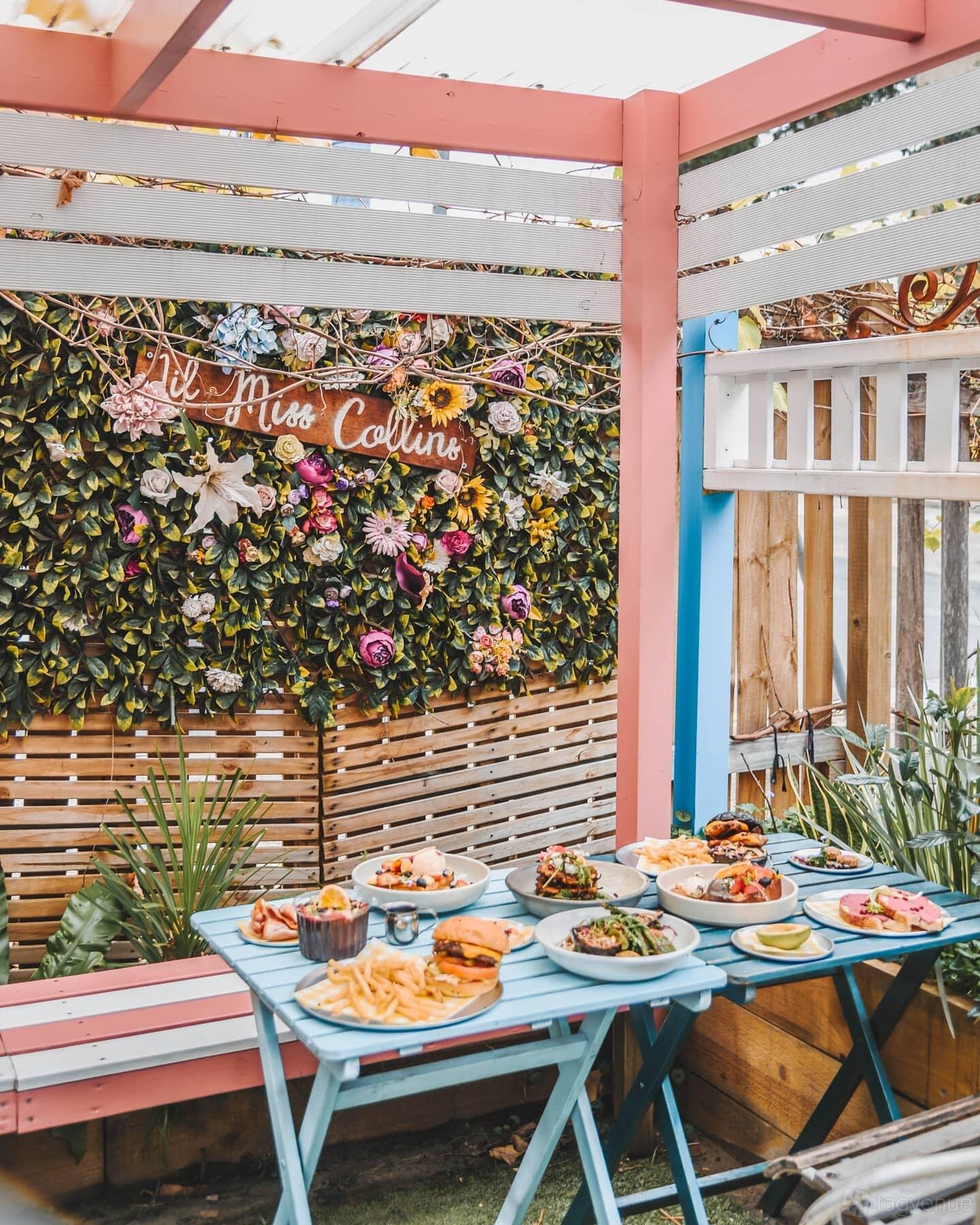 Garden at Lil Miss Collins Café Parramatta photo 3