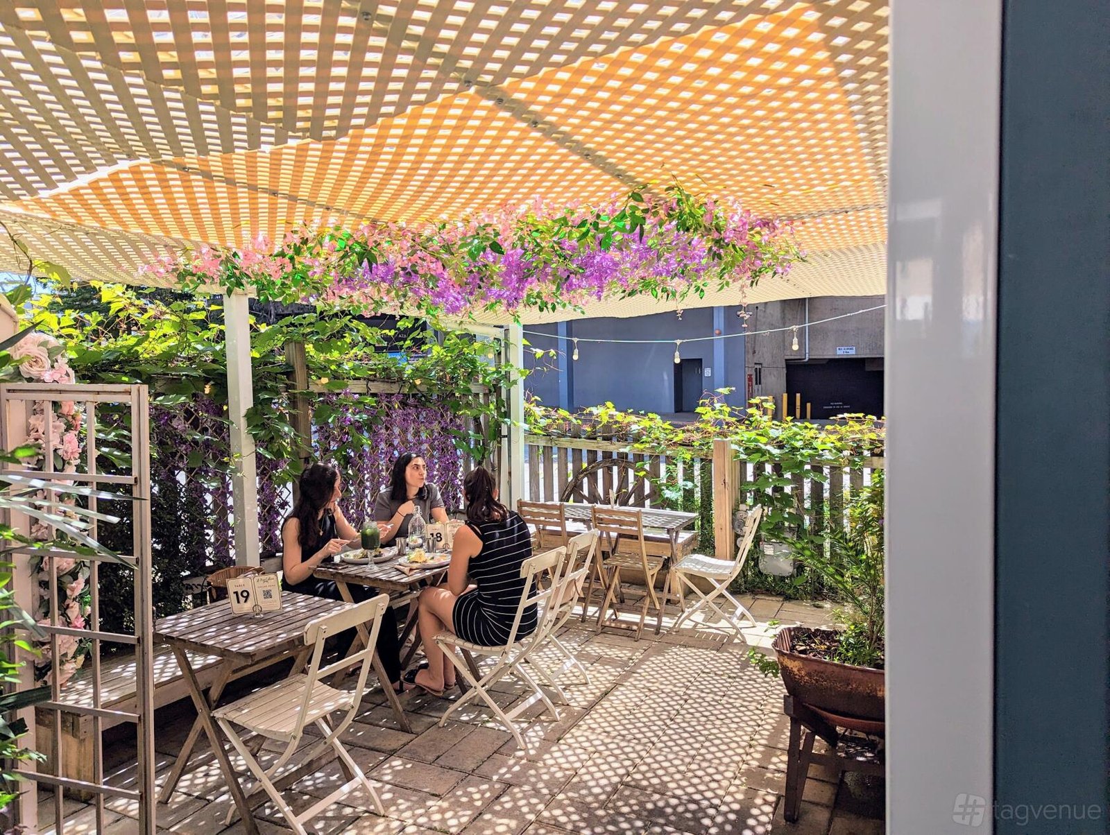 Entire Venue at Lil Miss Collins Café Parramatta photo 18