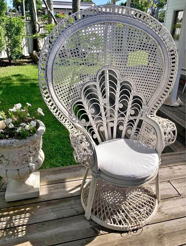 Peacock Chair Hire photo 6