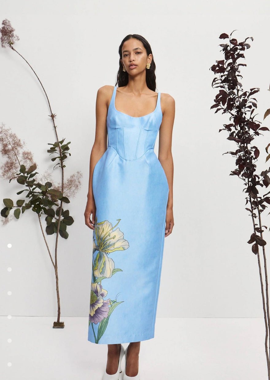 Alemais Donata Taffeta Gown photo 2