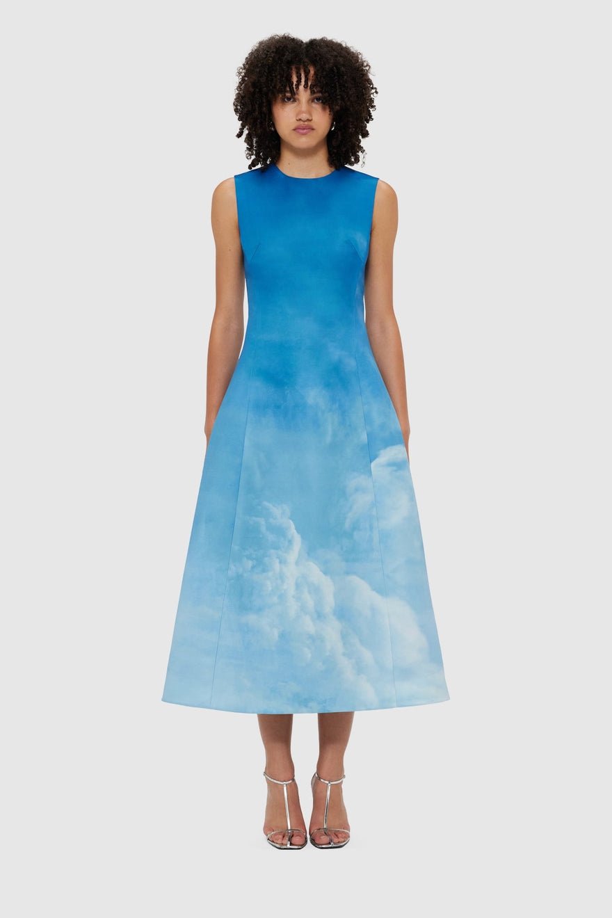 Leo Lin Cleo Sleeveless Midi Dress - Aerial Print photo 4