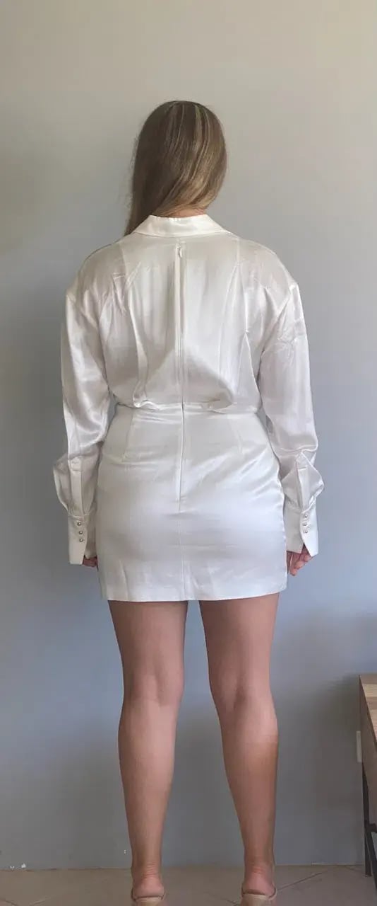 Acler Woodbine Mini Dress Ivory Size 10 photo 3