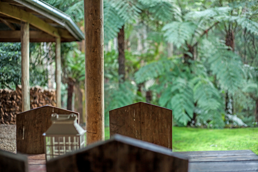 Fernglen Forrest Retreat photo 5