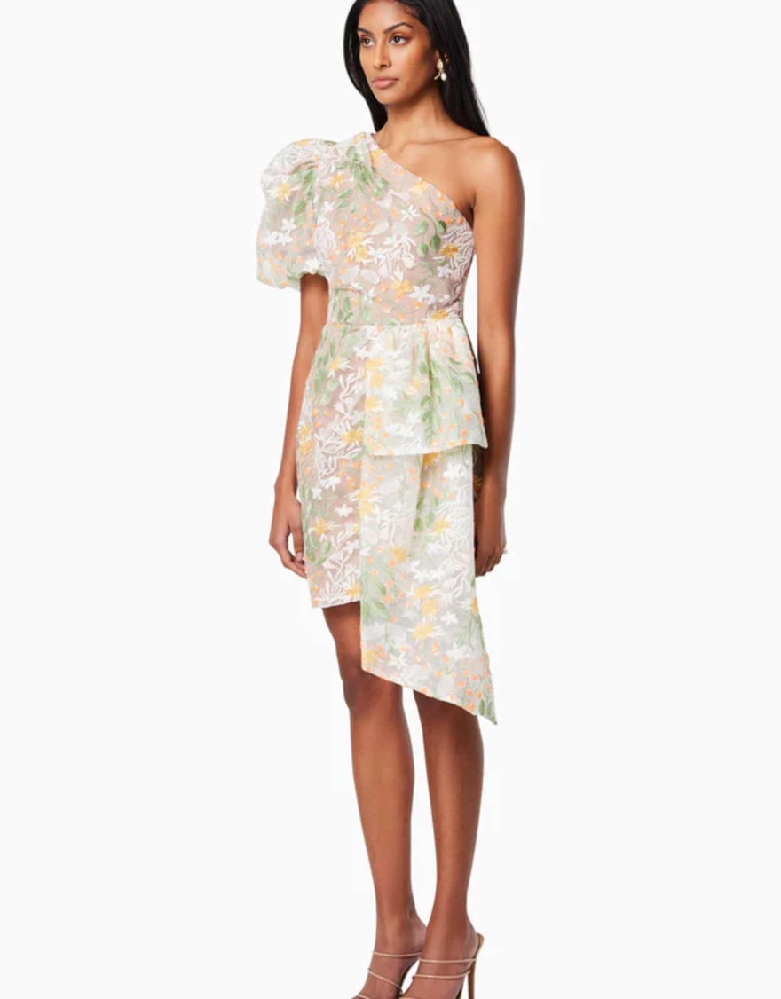 Elliatt Dome Asymmetrical Dress photo 3