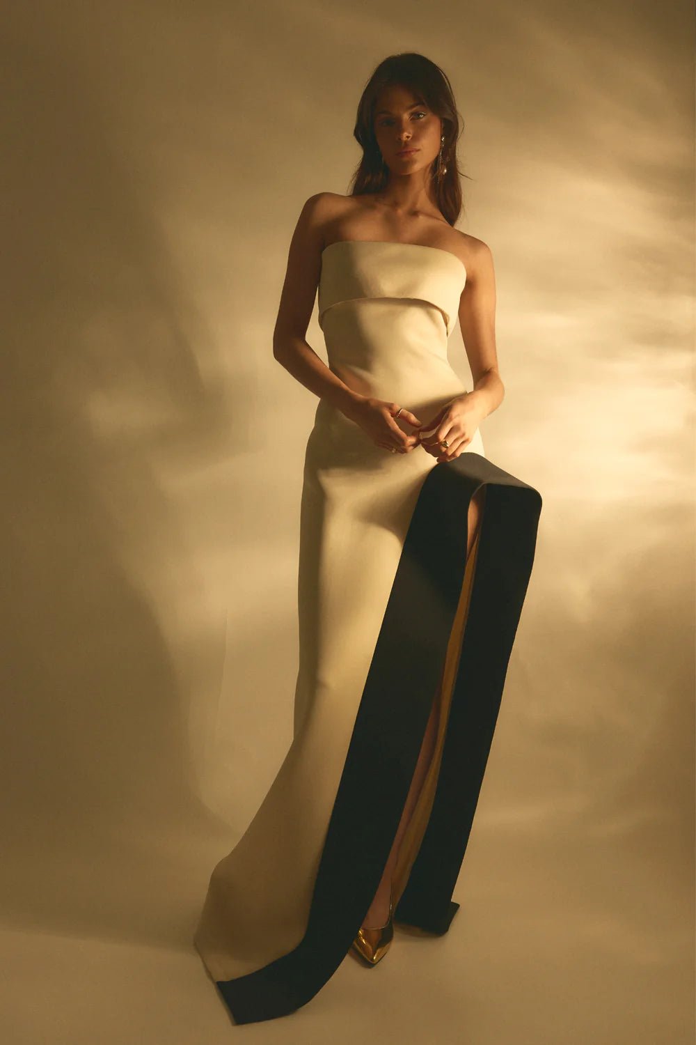 TOJHÀ OCTAVIA DRESS - CHAMPAGNE BEIGE/BLACK photo 8