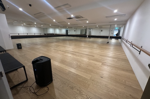 La Fiesta Dance Factory - room 7 photo 5