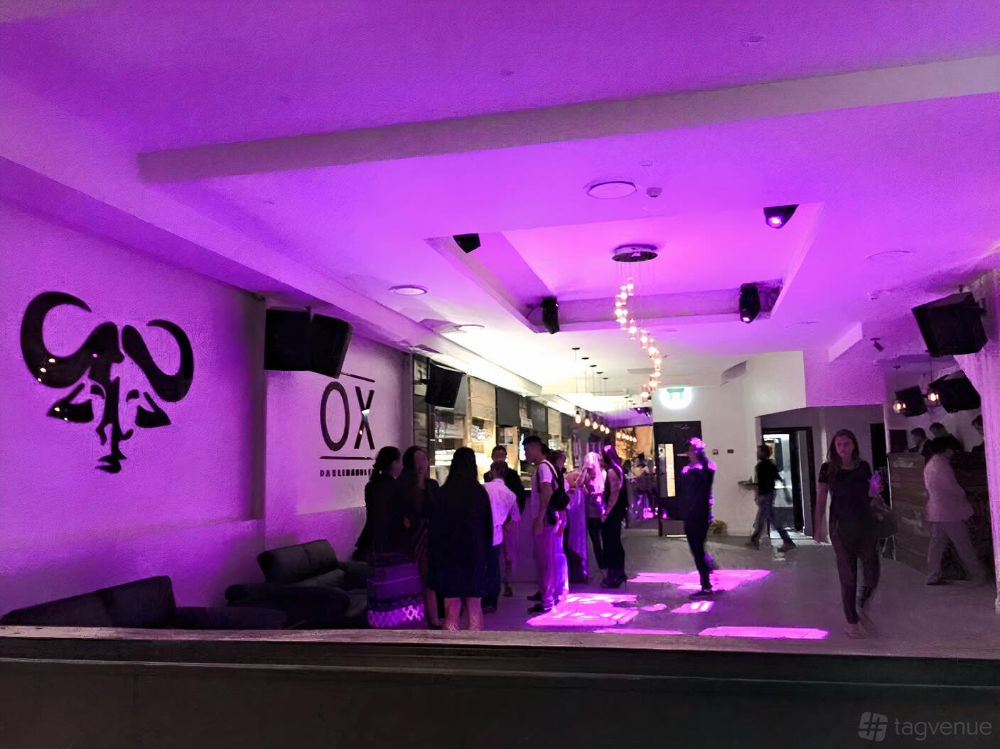 Entire Venue at The Ox Darlinghurst photo 3