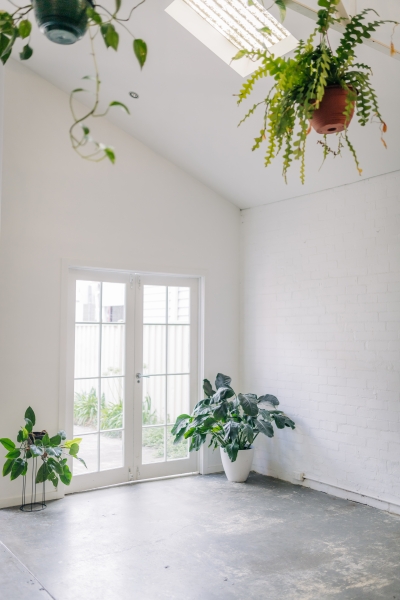 Well Lit and Spacious Studio in Collingwood photo 2