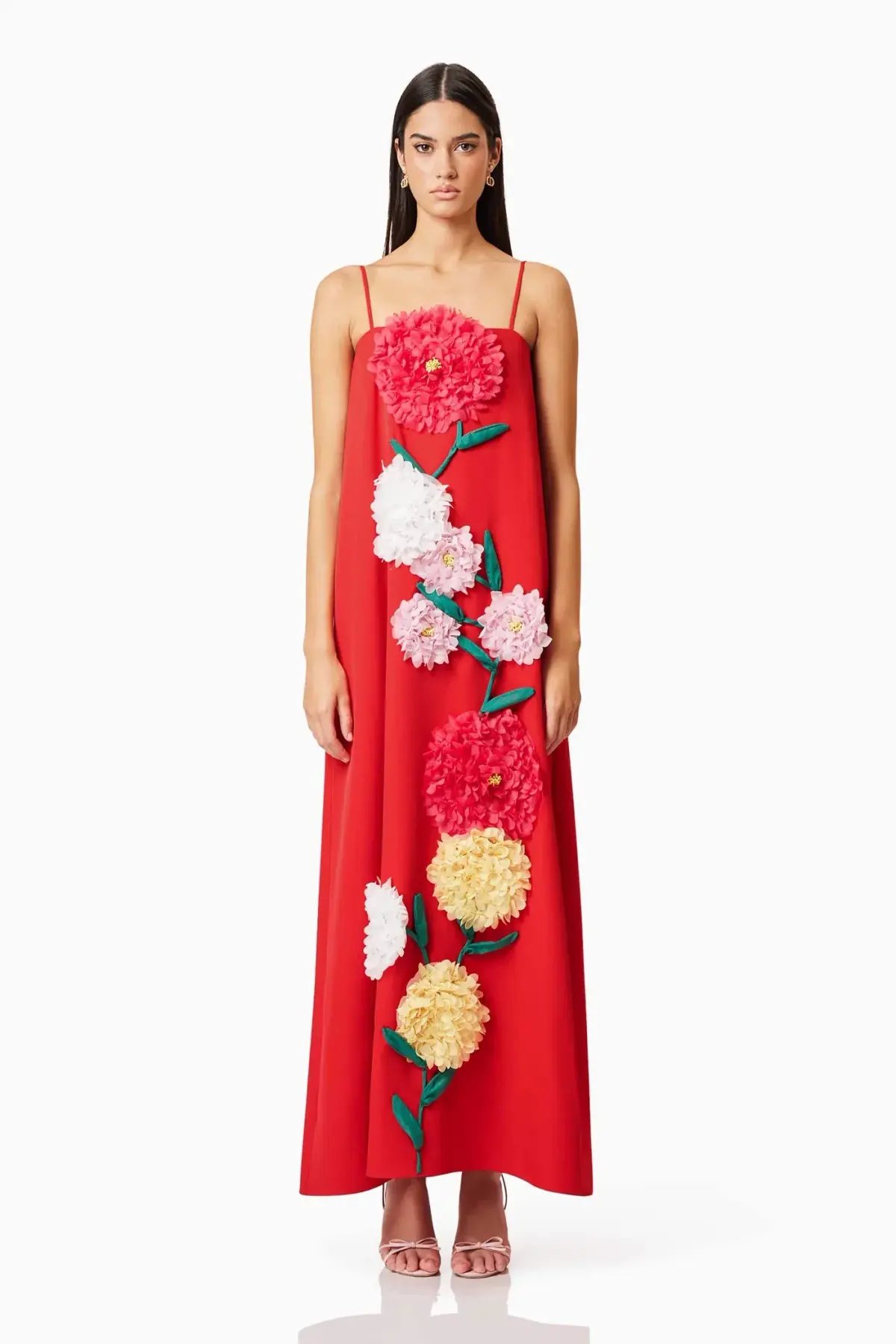 Buttercup Embroidered Maxi Dress In Red photo 2