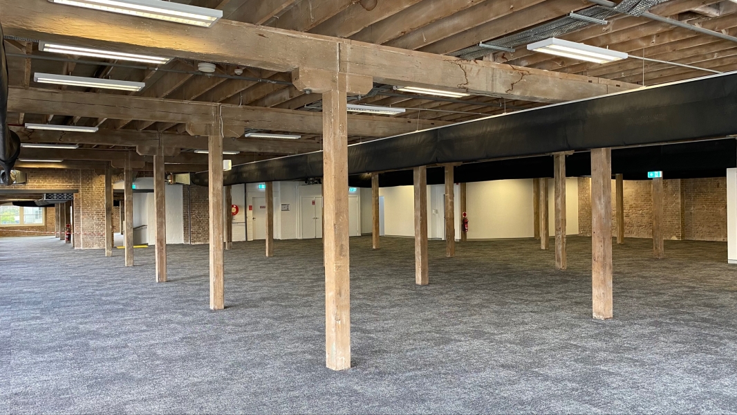 Lvl 5 Heritage Loft: Ultimo's Creative Haven photo 5