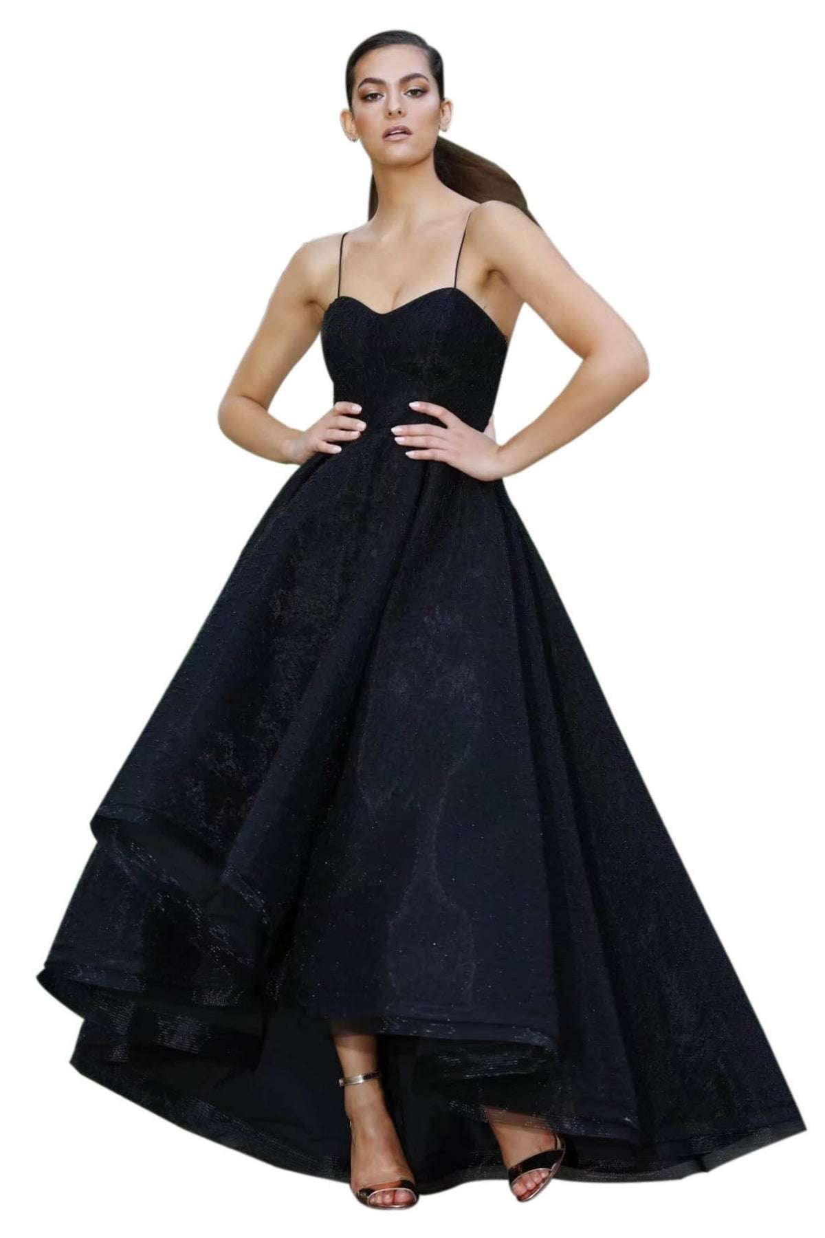 Audrey Gown in Black (JX045) photo 3