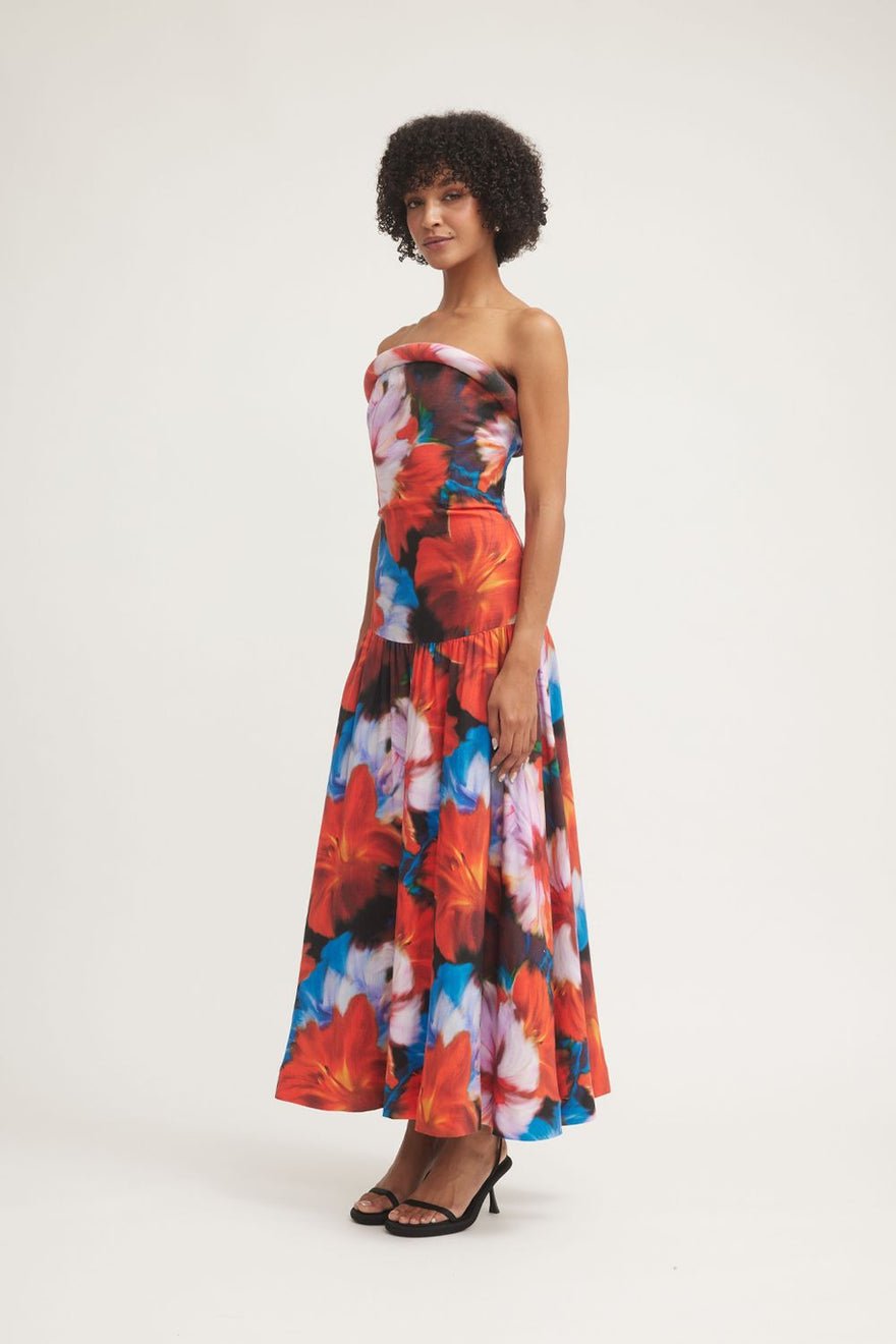 Tojha Kynlee Dress photo 4