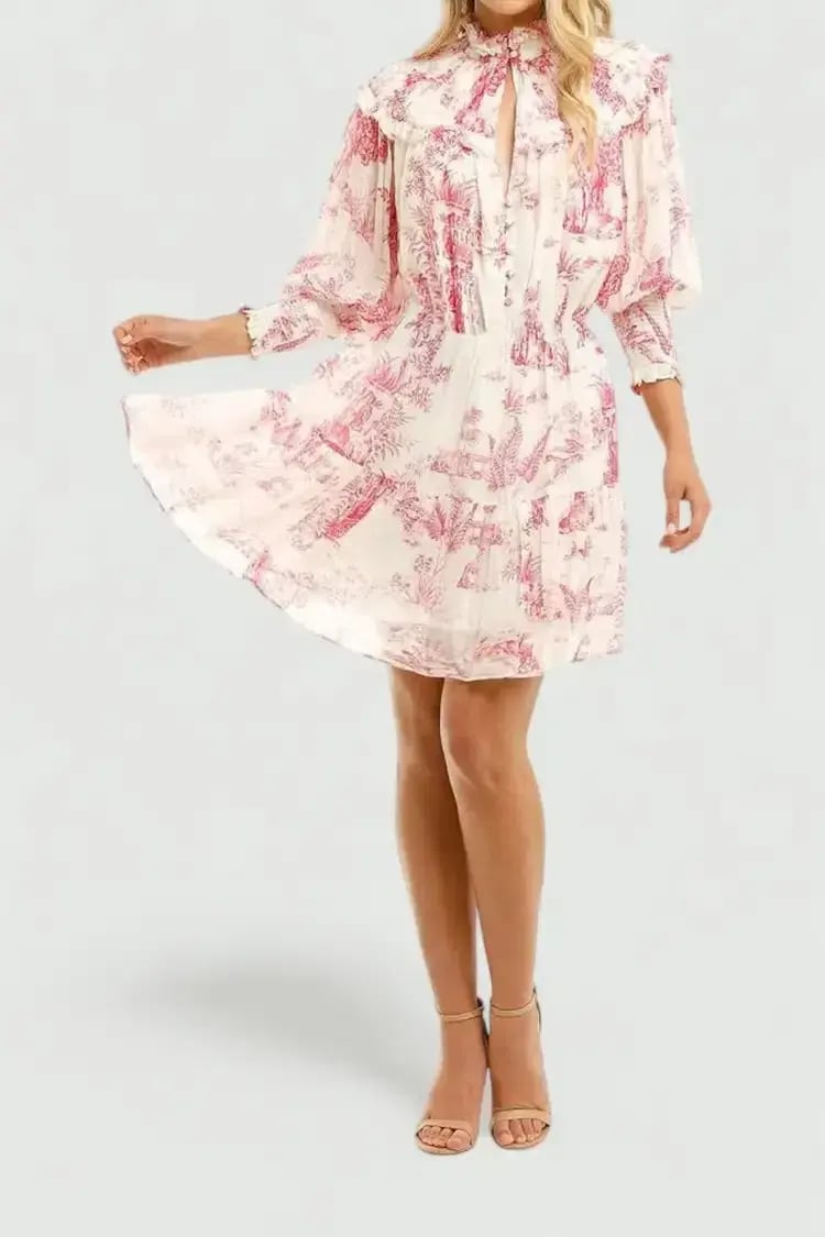 Nicholas Abbey Dress in Canister Ivory Toile Print Size 6 photo 2