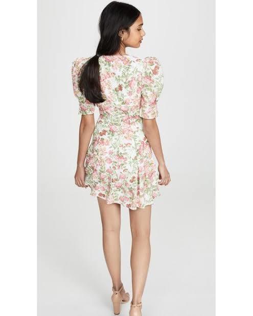 Le Follies Mini Dress photo 2