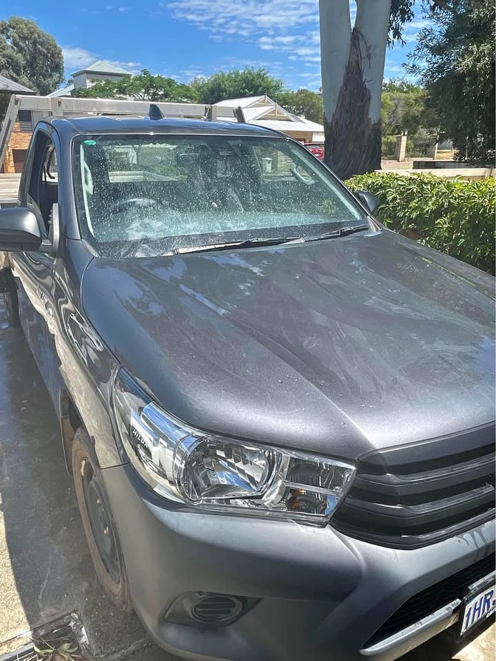 Manual workmate Ute 4 hire photo 3