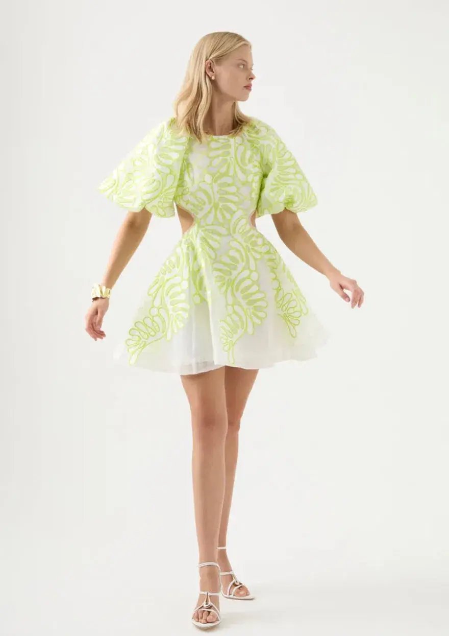 Aje Botanical Applique Mini Dress Green/White Size 8 photo 2