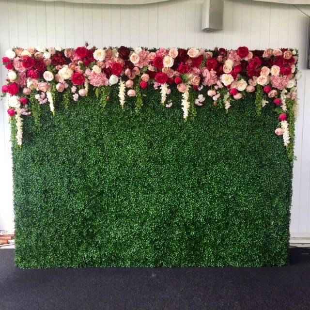 Box Hedge Wall Backdrop photo 3