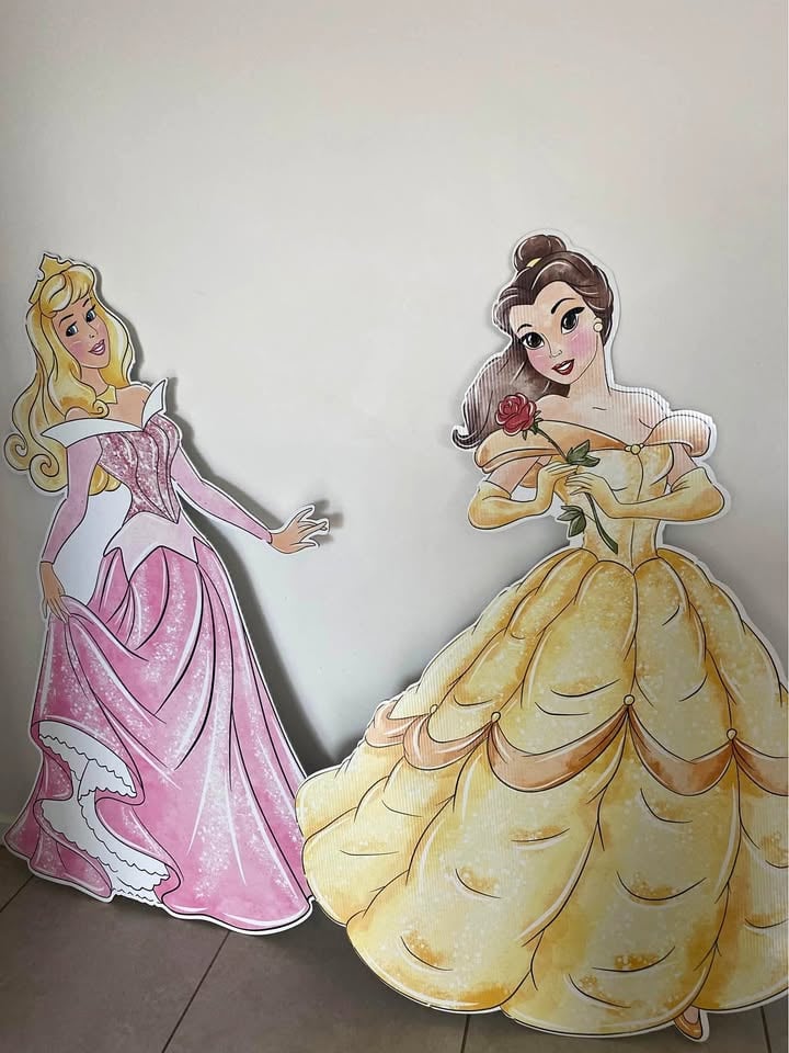 Disney princess cut out hire photo 2