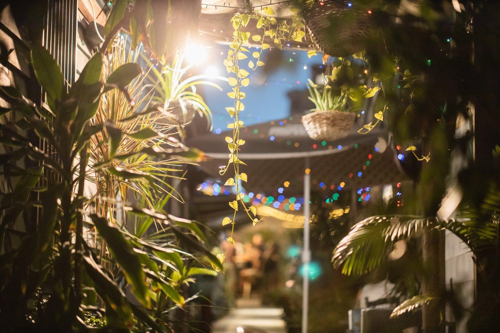 Beer Garden at Shady Palms Cafe & Bar photo 10