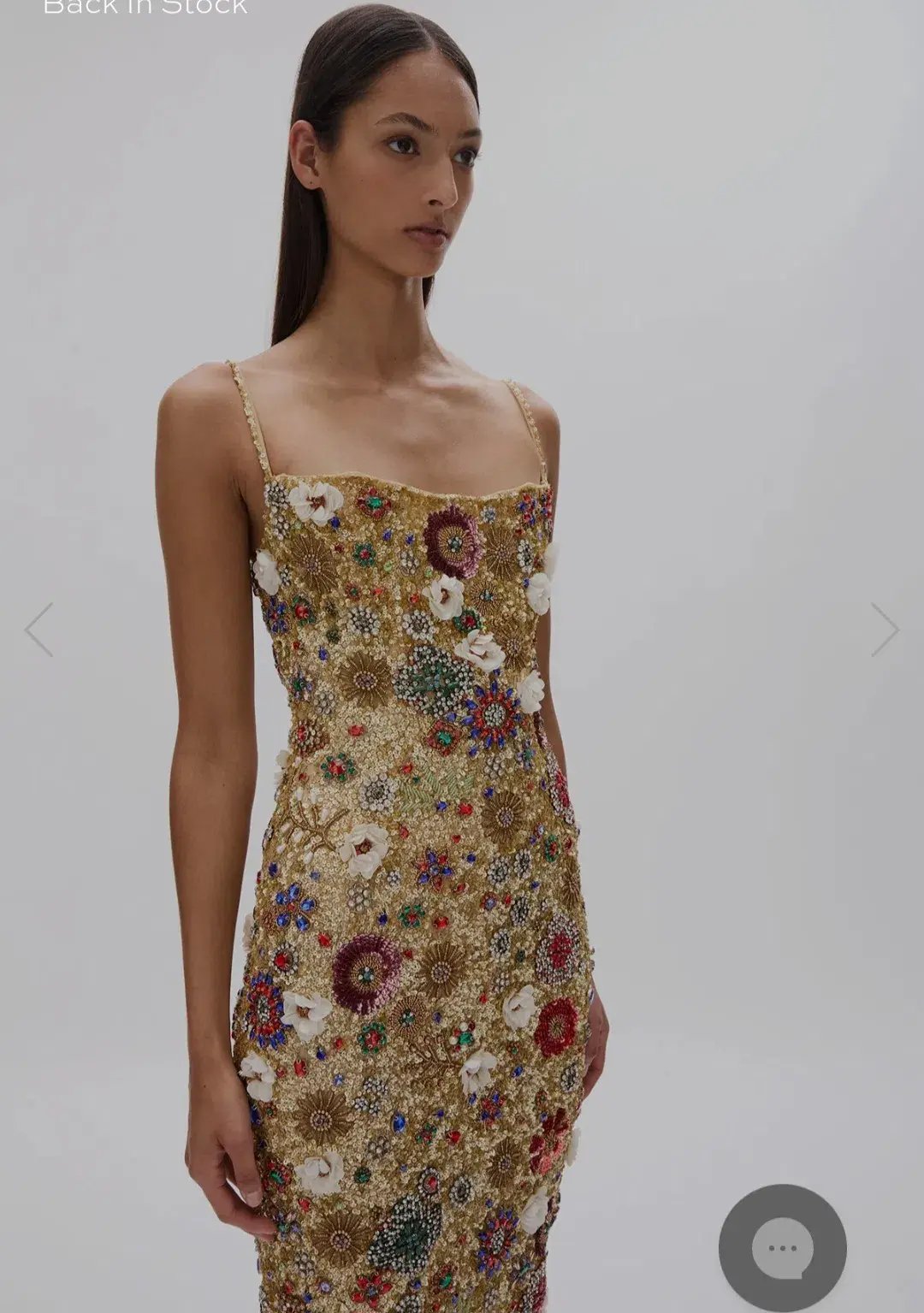 Rachel Gilbert Fransesca dress photo 2
