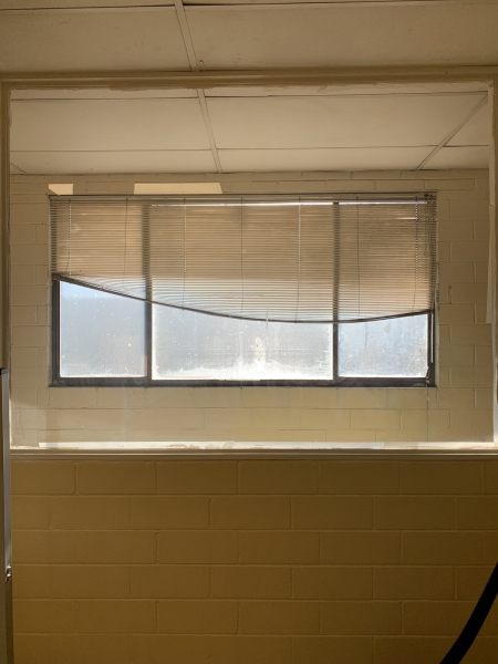 Inner West Office Space photo 6